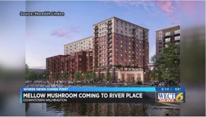 Mellow Mushroom expected to open location in downtown Wilmington