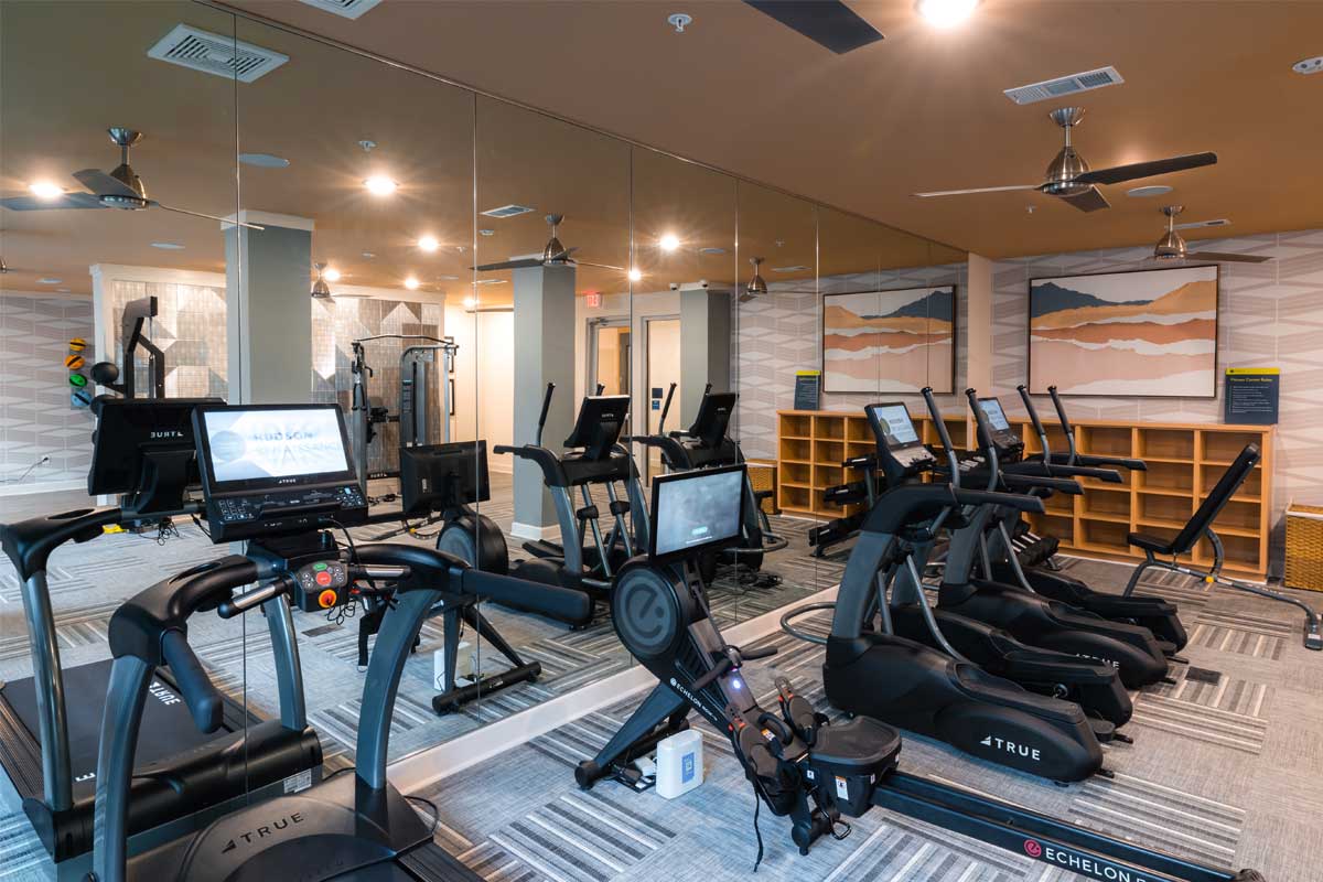 Hudson Renaissance interior: gym