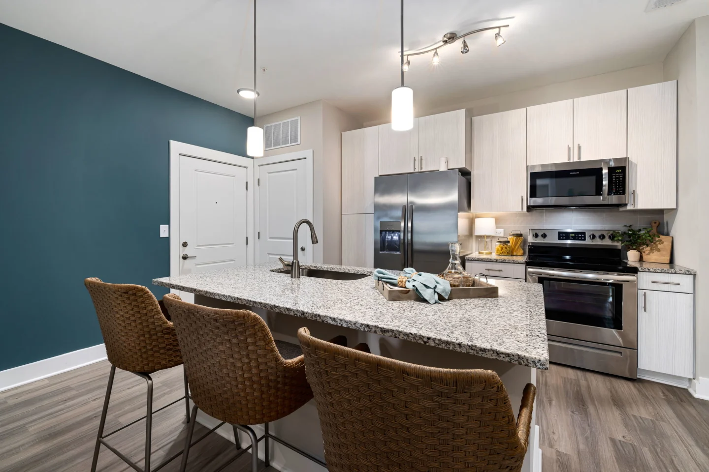 Hudson Carolina Forest interior: kitchen