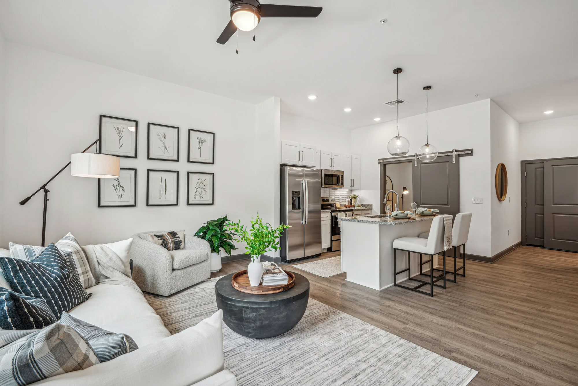 The Leo interior: kitchen + living room